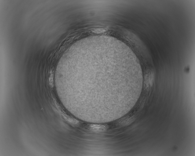 X0000115070234200912081155