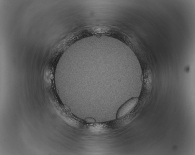 X0000115070235200912081155