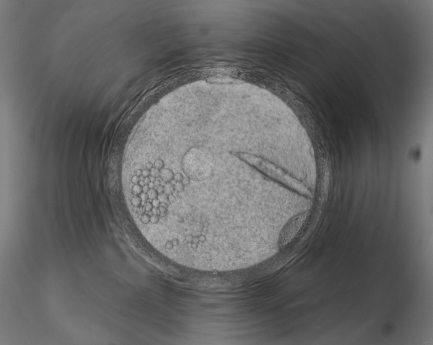 X0000115070236200912081155