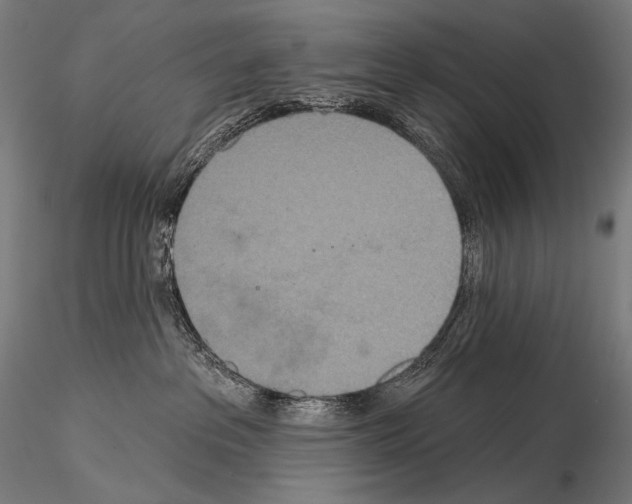 X0000115070237200912081155