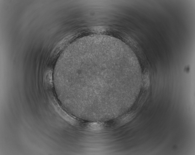 X0000115070238200912081155