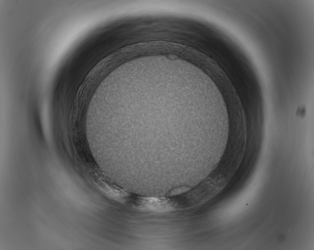 X0000115070239200912081155