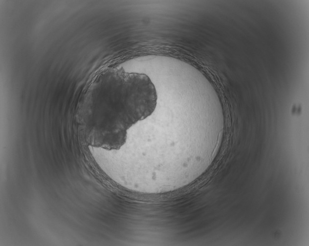 X0000115070240200912081155