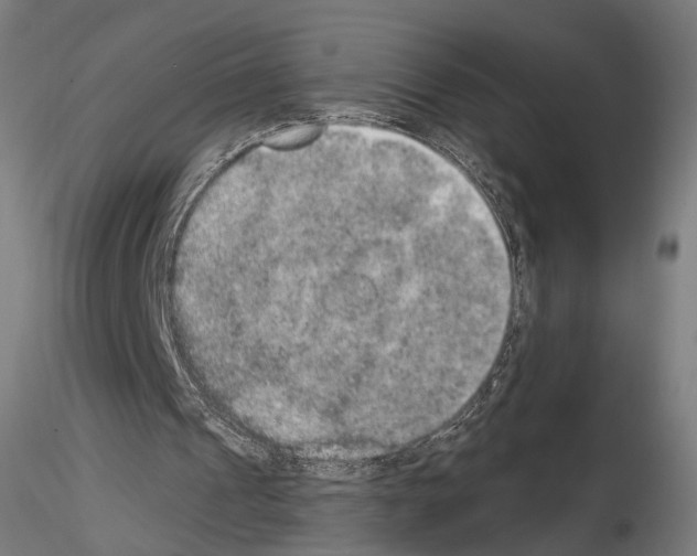 X0000115070241200912081154