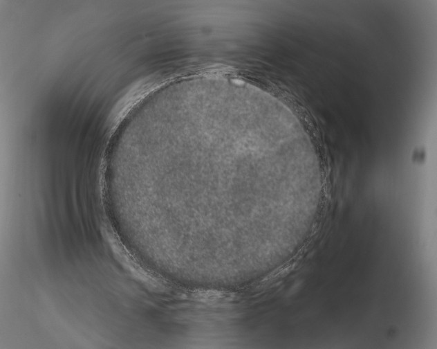 X0000115070242200912081154