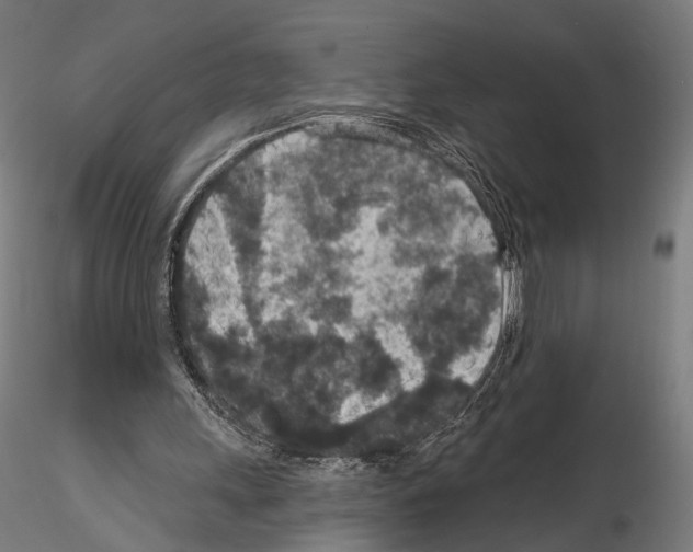 X0000115070243200912081154