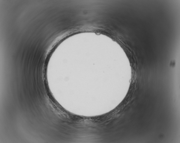 X0000115070244200912081154