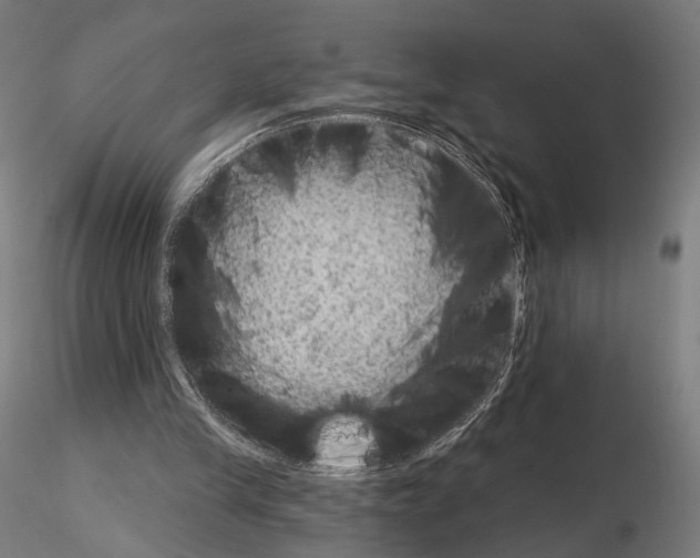 X0000115070245200912081154