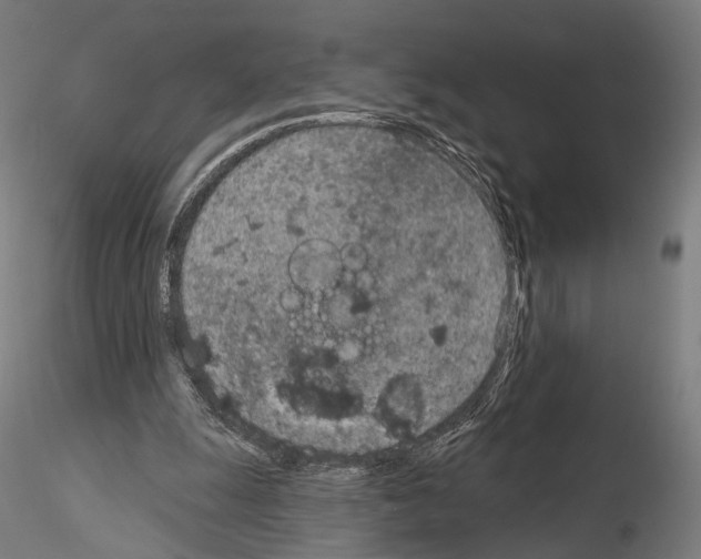 X0000115070247200912081154