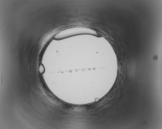 X0000115070248200912081154