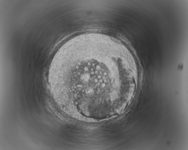 X0000115070249200912081154