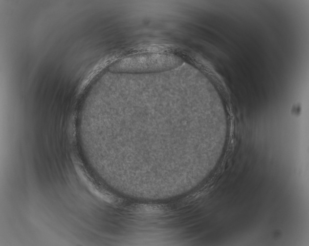 X0000115070250200912081154