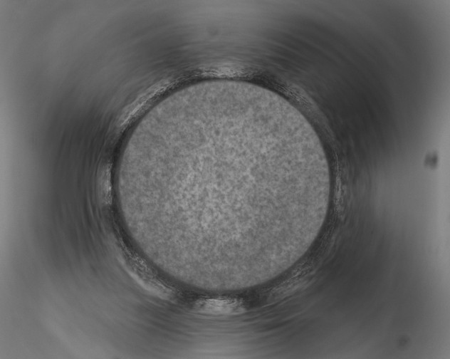 X0000115070251200912081154