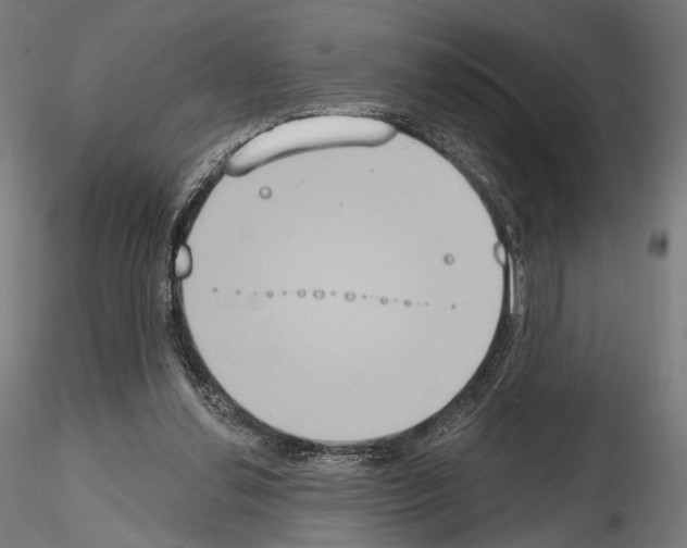 X0000115070252200912081154