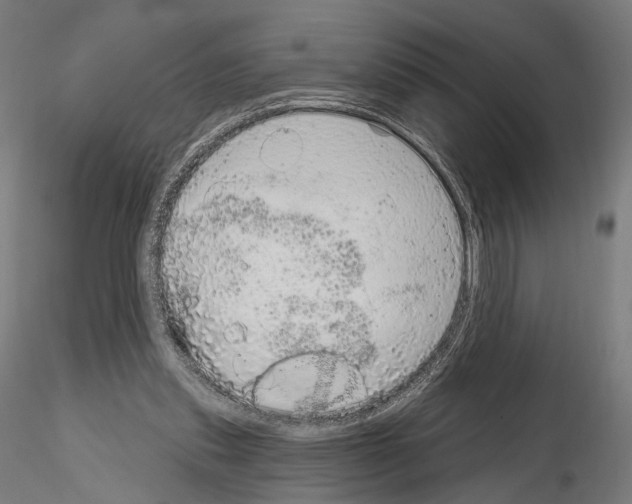 X0000115070253200912081154