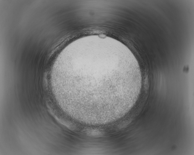 X0000115070254200912081154