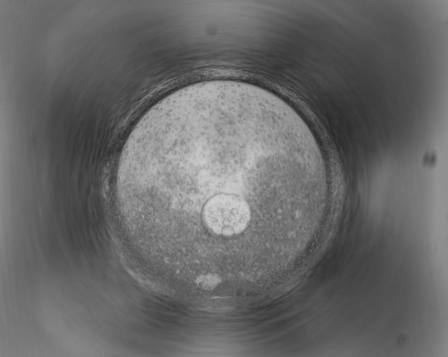 X0000115070255200912081154