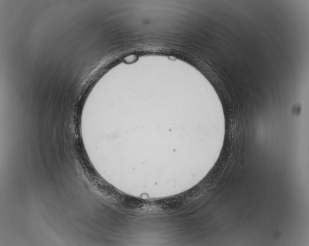 X0000115070256200912081154