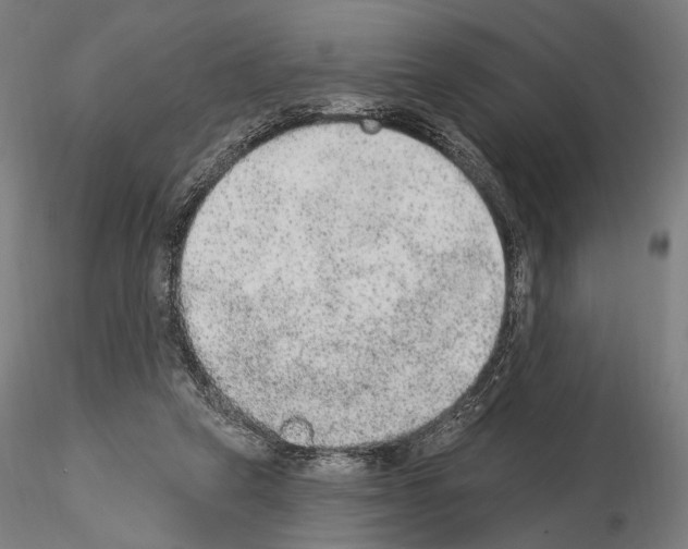 X0000115070257200912081154