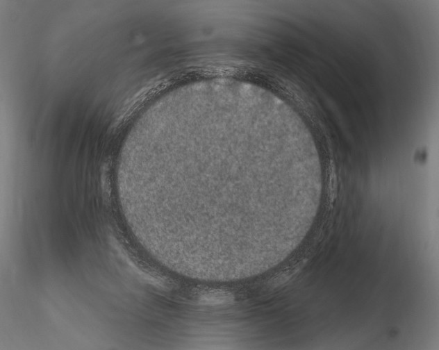 X0000115070258200912081154