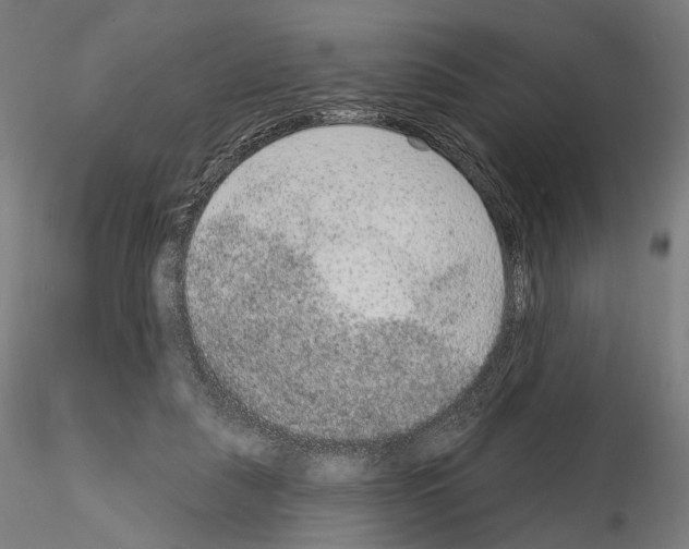 X0000115070259200912081155