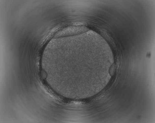 X0000115070260200912081155