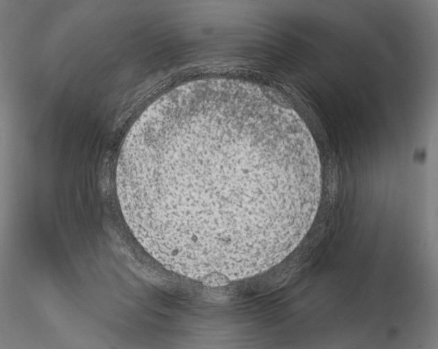 X0000115070261200912081155