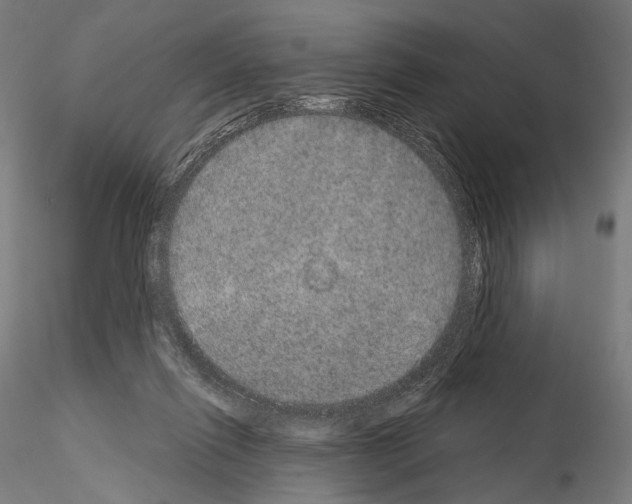 X0000115070262200912081155