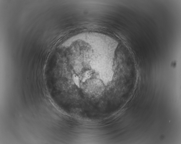 X0000115070265200912081155