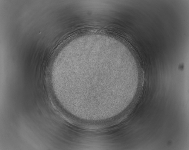 X0000115070266200912081155