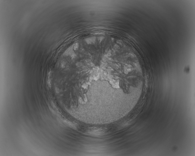 X0000115070267200912081155