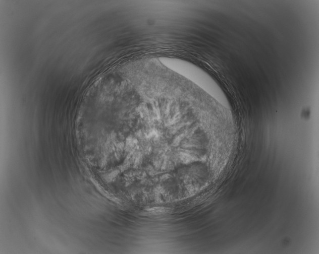 X0000115070269200912081155