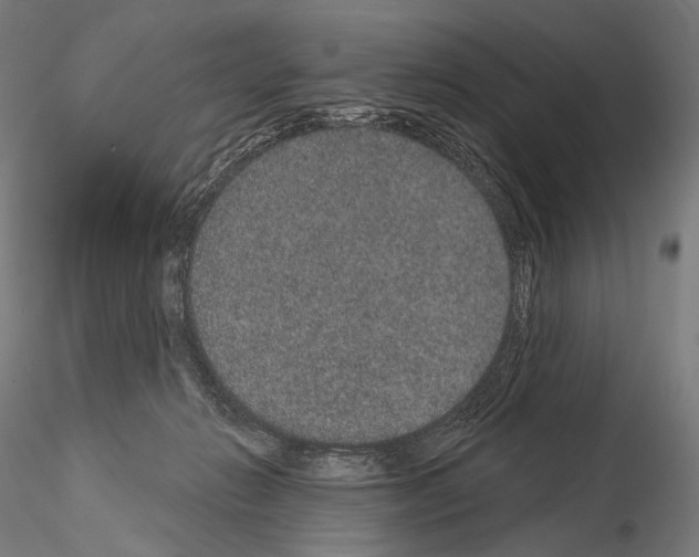 X0000115070270200912081155