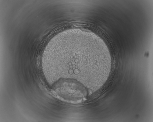 X0000115070271200912081155