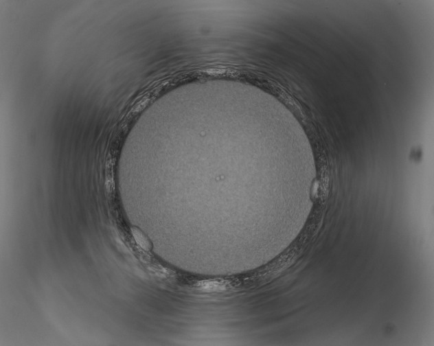 X0000115070272200912081155