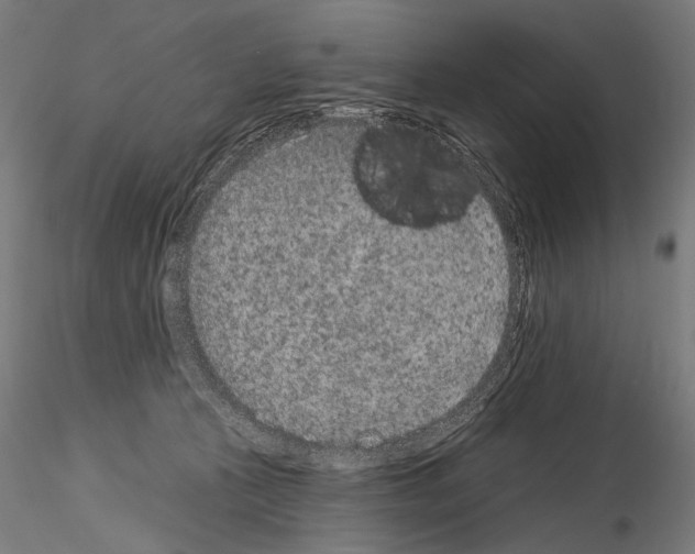 X0000115070273200912081155