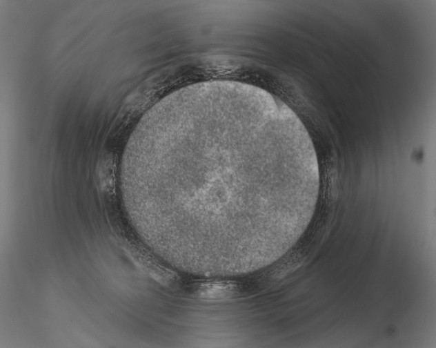 X0000115070274200912081155