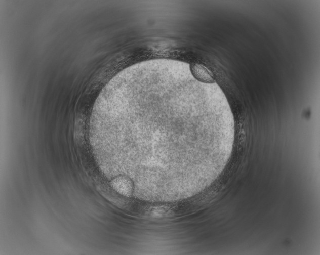 X0000115070275200912081155