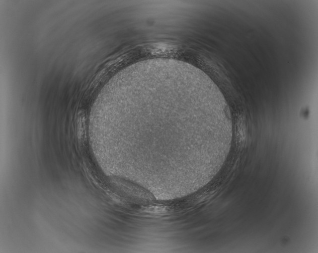 X0000115070276200912081155