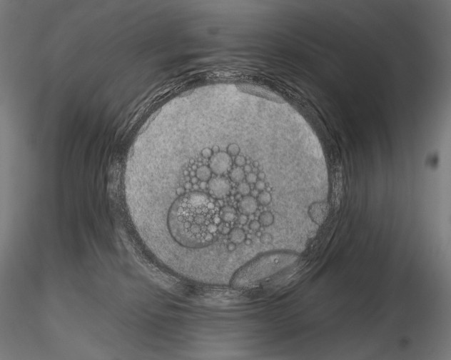 X0000115070278200912081155