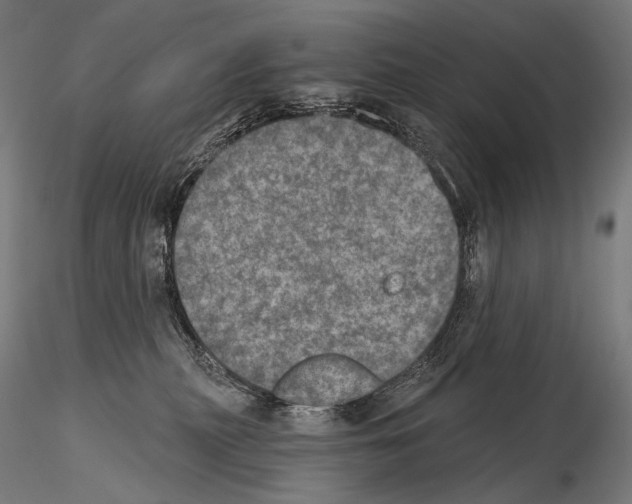 X0000115070279200912081155