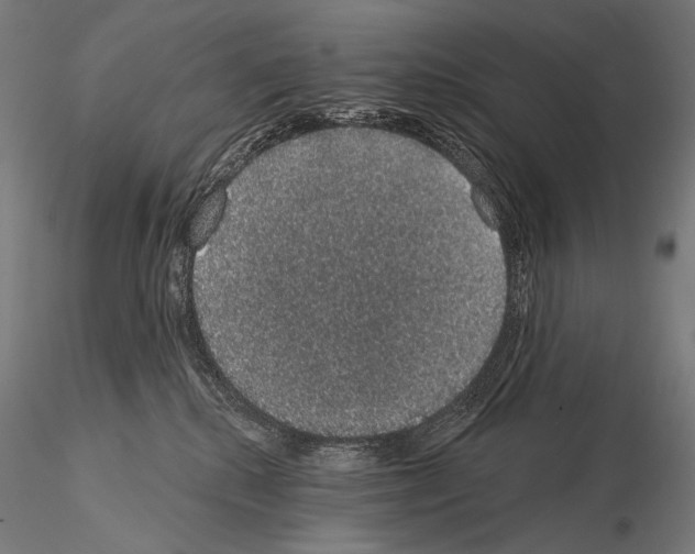 X0000115070280200912081155