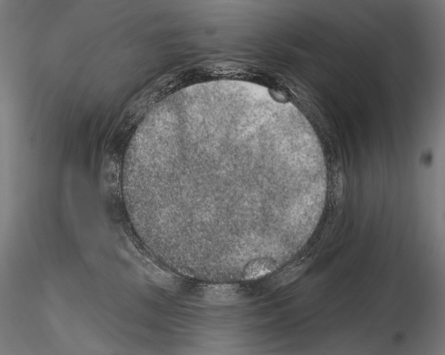 X0000115070281200912081155