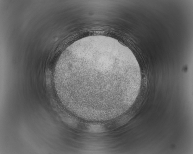 X0000115070283200912081155