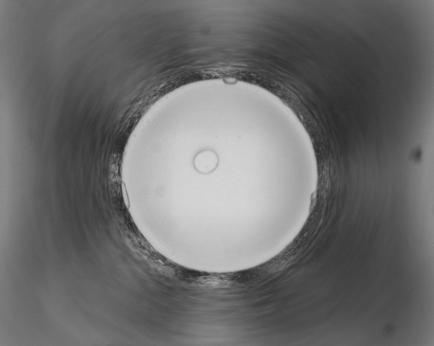 X0000115070284200912081155