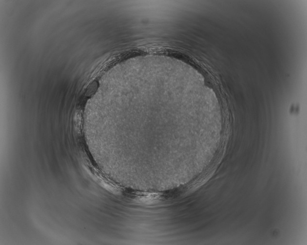 X0000115070288200912081155