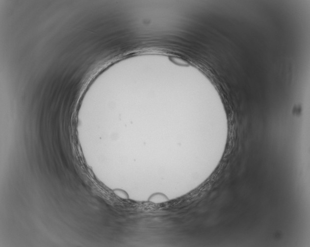 X0000115070289200912081154