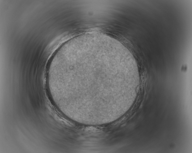 X0000115070290200912081154