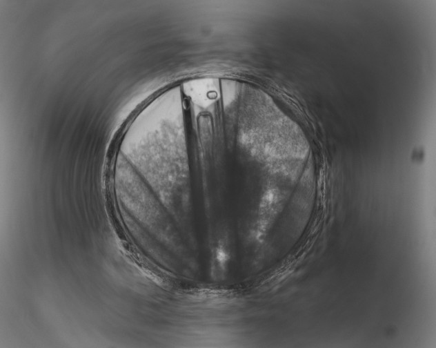 X0000115070292200912081154