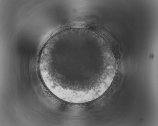 X0000115070293200912081154